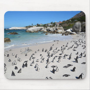Pinguin-Flussstein-Strand Südafrika Mousepad