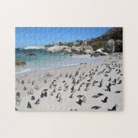 Pinguin-Flussstein-Strand | Südafrika