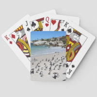 Pinguin-Flussstein-Strand | Südafrika