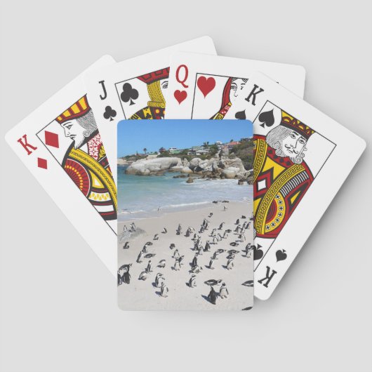 Pinguin-Flussstein-Strand | Südafrika Spielkarten (Rückseite)