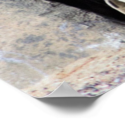 Pinguin-Foto Poster (Ecke)