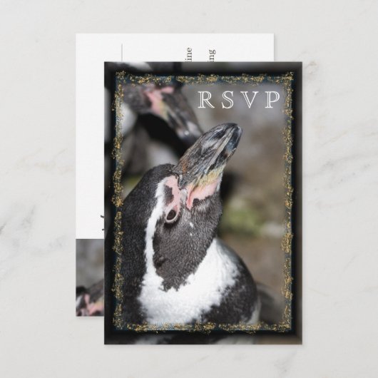 Pinguin Foto Zoo Wedding RSVP Cards (Vorne/Hinten)