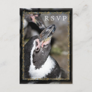 Pinguin Foto Zoo Wedding RSVP Cards Karte