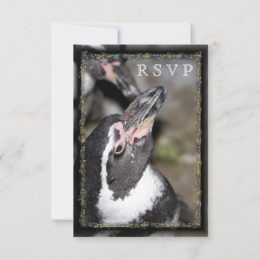 Pinguin Foto Zoo Wedding RSVP Cards Karte (Vorderseite)