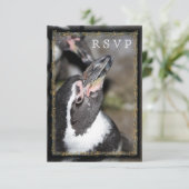Pinguin Foto Zoo Wedding RSVP Cards Karte (Stehend Vorderseite)