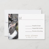 Pinguin Foto Zoo Wedding RSVP Cards Karte (Rückseite)