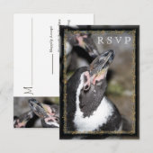 Pinguin Foto Zoo Wedding RSVP Cards Karte (Vorne/Hinten)