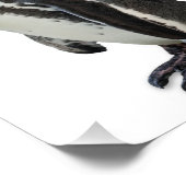 Pinguin Fotodruck (Ecke)