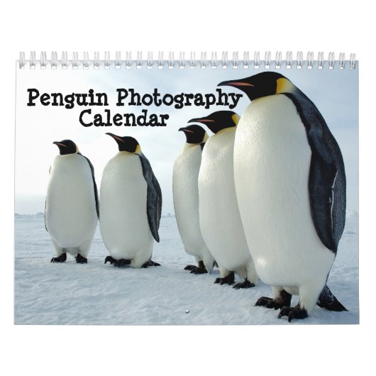Pinguin-Fotografie-Kalender Kalender (Titelbild)