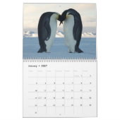 Pinguin-Fotografie-Kalender Kalender (Jan 2027)