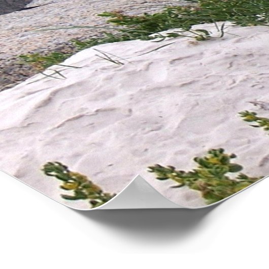 Pinguin Friends Poster (Ecke)