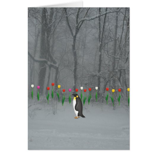 Pinguin-Frühlings-Weg (Vorne)