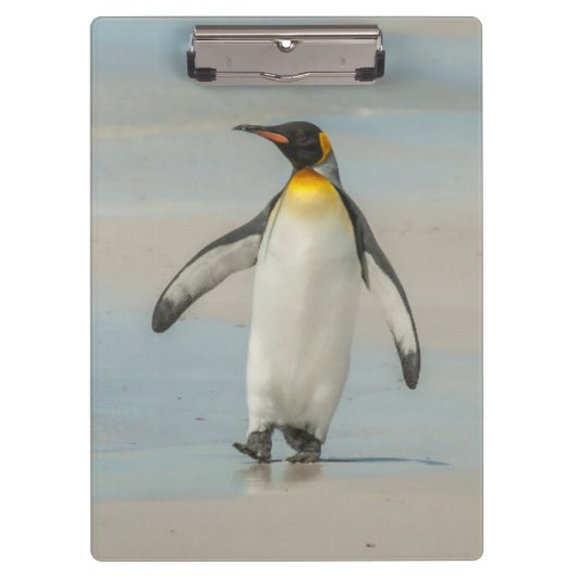 Pinguin geht am Strand Klemmbrett (Vorderseite)