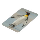 Pinguin geht am Strand Magnet (Linke Seite)