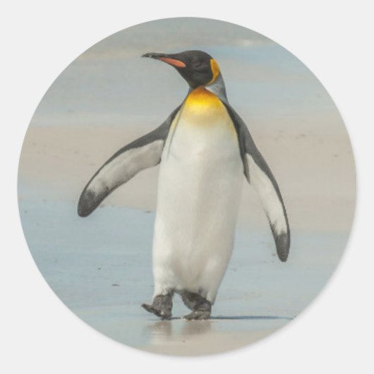 Pinguin geht am Strand Runder Aufkleber (Vorderseite)