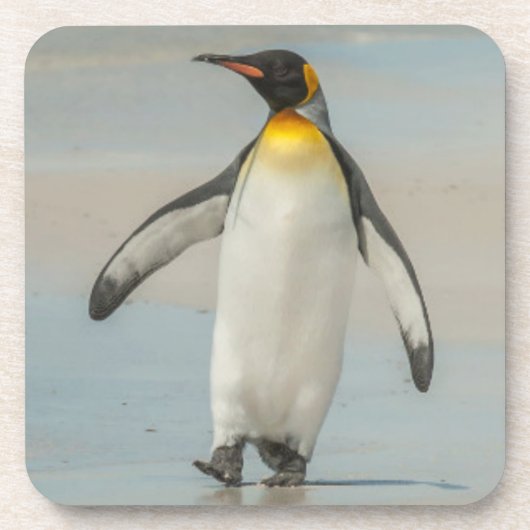 Pinguin geht am Strand Untersetzer (Vorderseite)