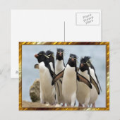 Pinguin Geht Postkarte (Vorne/Hinten)