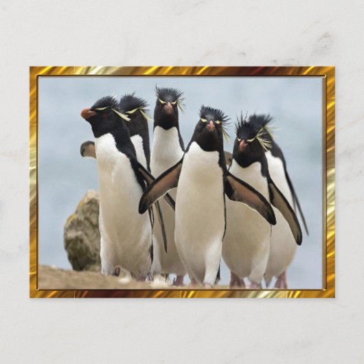 Pinguin Geht Postkarte (Vorderseite)