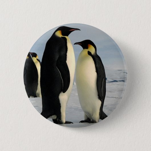 Pinguin-gekackte-von-äußerraum Button (Vorderseite)