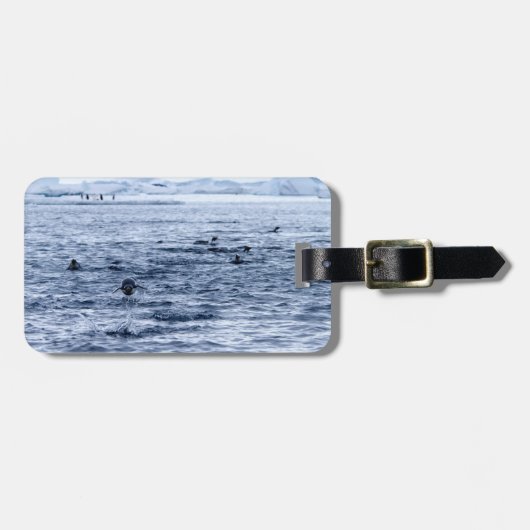 Pinguin Gepäckanhänger (Vorderseite horizontal)