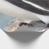 Pinguin Geschenkpapier (Ecke)