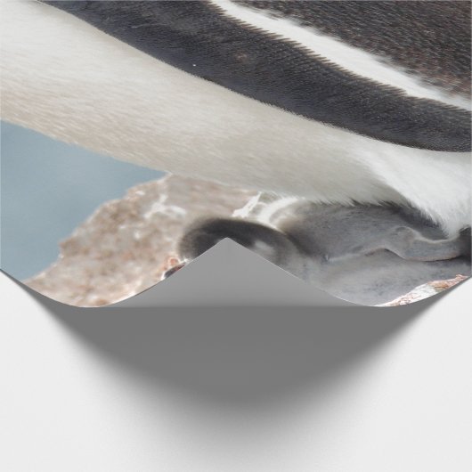 Pinguin Geschenkpapier (Ecke)