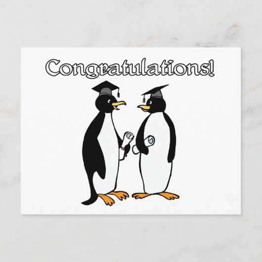 Pinguin Graduates Postkarte (Vorderseite)