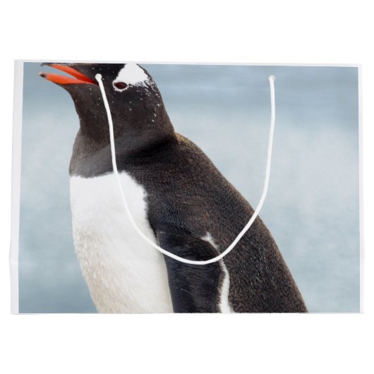 Pinguin Große Geschenktüte (Rückseite)