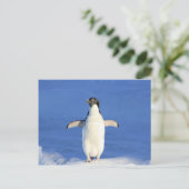 Pinguin-Happy-Dance-Umarmung Postkarte (Stehend Vorderseite)