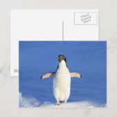 Pinguin-Happy-Dance-Umarmung Postkarte (Vorne/Hinten)