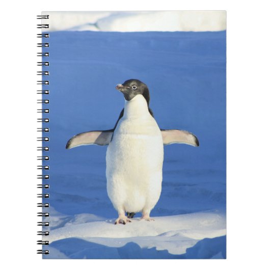 Pinguin im Schnee-Notebook Notizblock (Vorderseite)