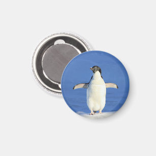 Pinguin im Schneemagnet Magnet