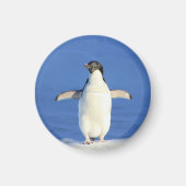 Pinguin im Schneemagnet Magnet (Vorne)