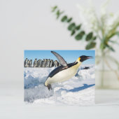 Pinguin in der Antarktis, der aus dem Wasser sprin Postkarte (Stehend Vorderseite)