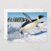 Pinguin in der Antarktis, der aus dem Wasser sprin Postkarte (Vorne/Hinten)