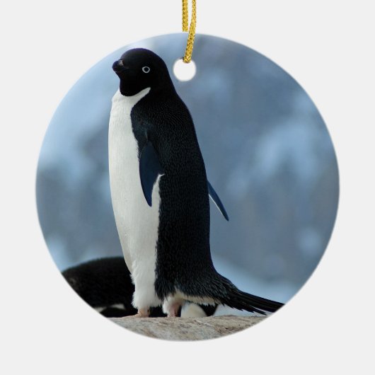 Pinguin in die Antarktis-Verzierung Keramik Ornament (Vorne)