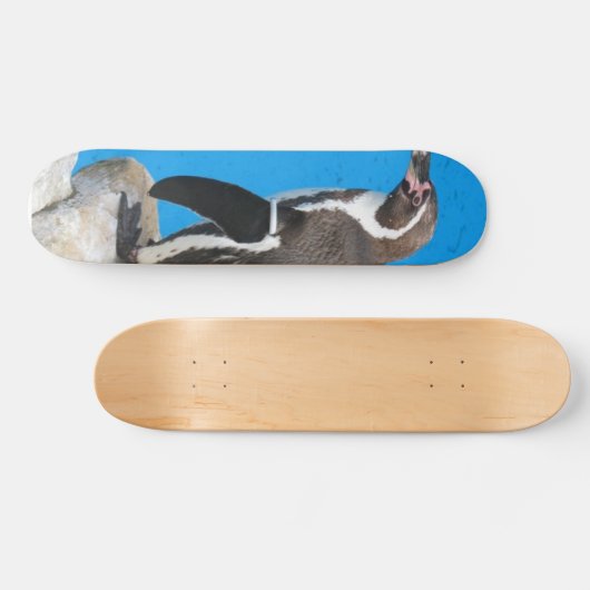 Pinguin in Harewood Park Skateboard (Horizontal)