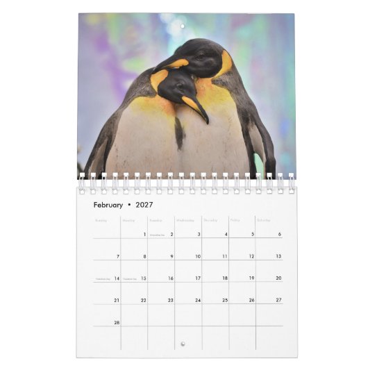 Pinguin Kalender (Feb 2027)