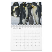 Pinguin Kalender (Jan 2026)