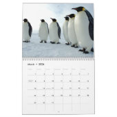 Pinguin-Kalender Kalender (Mär 2026)