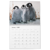 Pinguin-Kalender Kalender (Jan 2027)