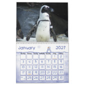 Pinguin-Kalender Kalender (Jan 2027)
