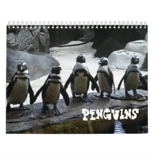 Pinguin-Kalender Kalender