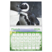 Pinguin-Kalender Kalender (Mär 2026)