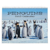 Pinguin-Kalender Kalender (Titelbild)