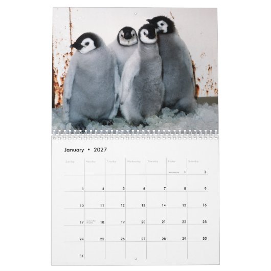 Pinguin-Kalender Kalender (Jan 2027)