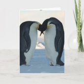 Pinguin Karte (Vorderseite)