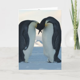 Pinguin Karte