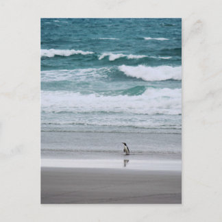 Pinguin kehrt aus dem Ozean zurück Postkarte