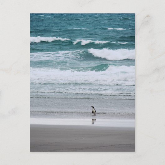 Pinguin kehrt aus dem Ozean zurück Postkarte (Vorderseite)